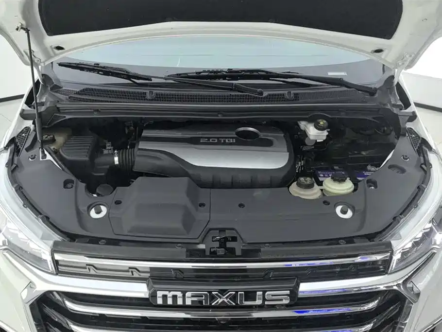 SAIC MAXUS CHASE G20