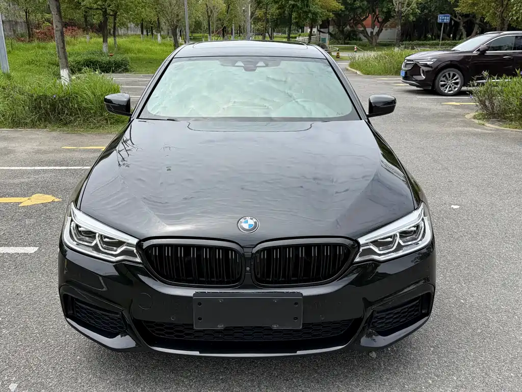 BMW 5 Series 2019