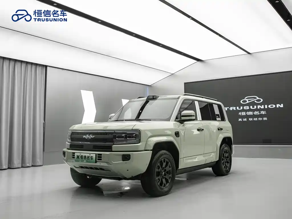 FANG CHENG BAO LEOPARD 5