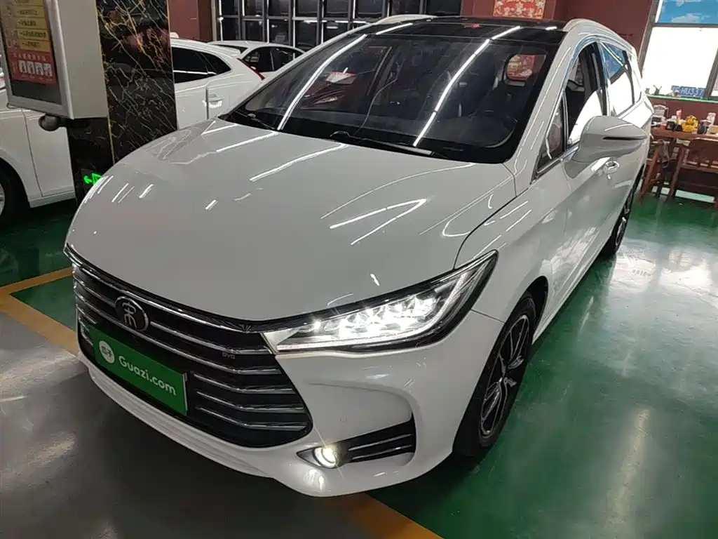 Byd MAX 2019