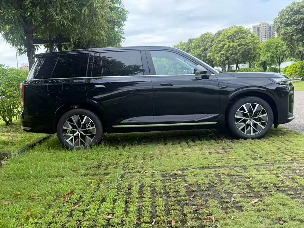 GAC Motor Trumpchi Xiangwang S9 — миниатюра 5