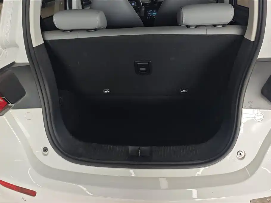 Leapmotor T03 2024 310