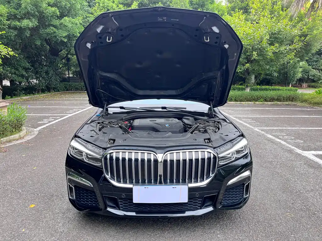 BMW 7 Series — миниатюра 12