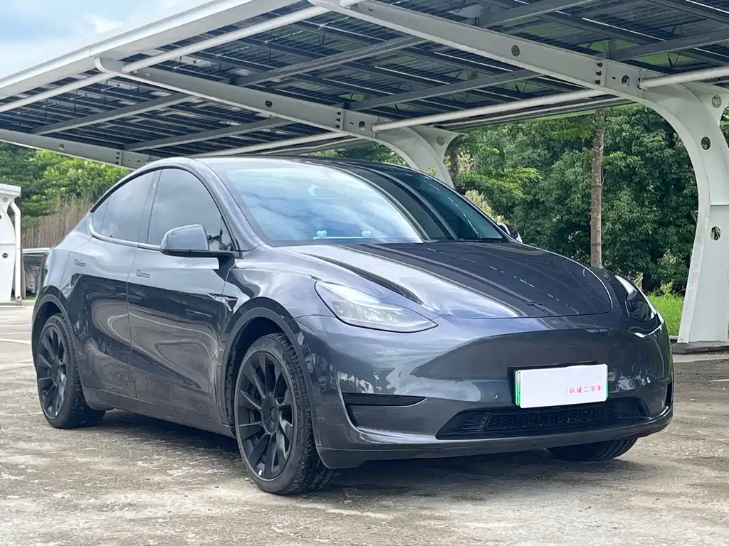 Tesla Model Y — миниатюра 3