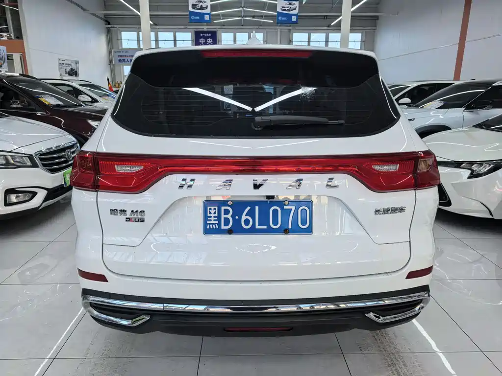 HAVAL M6