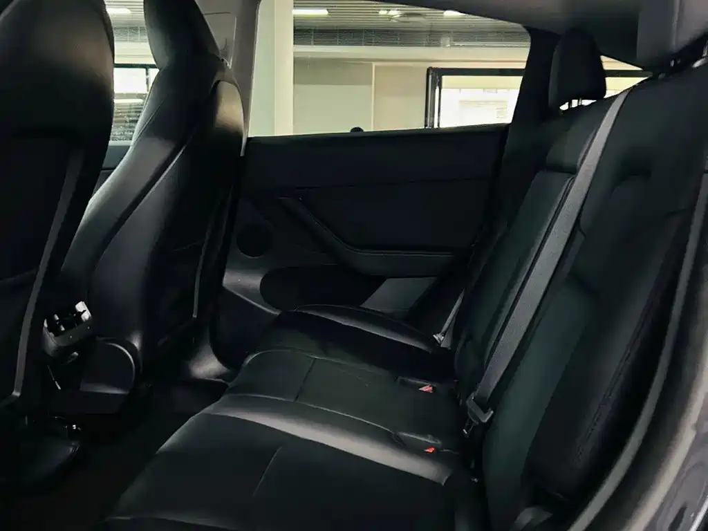 Tesla Model Y — миниатюра 6