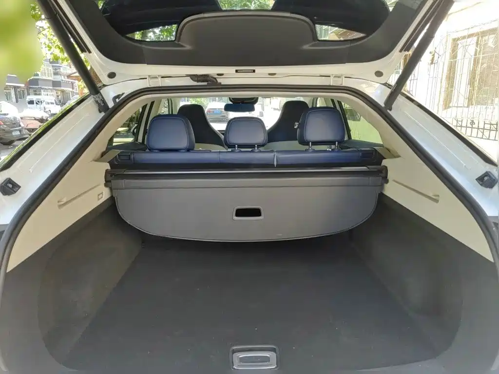 Roewe Whale — миниатюра 10