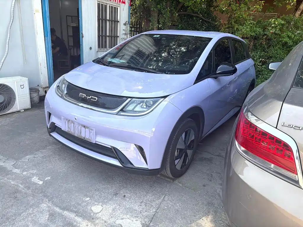 BYD Dolphin — миниатюра 2