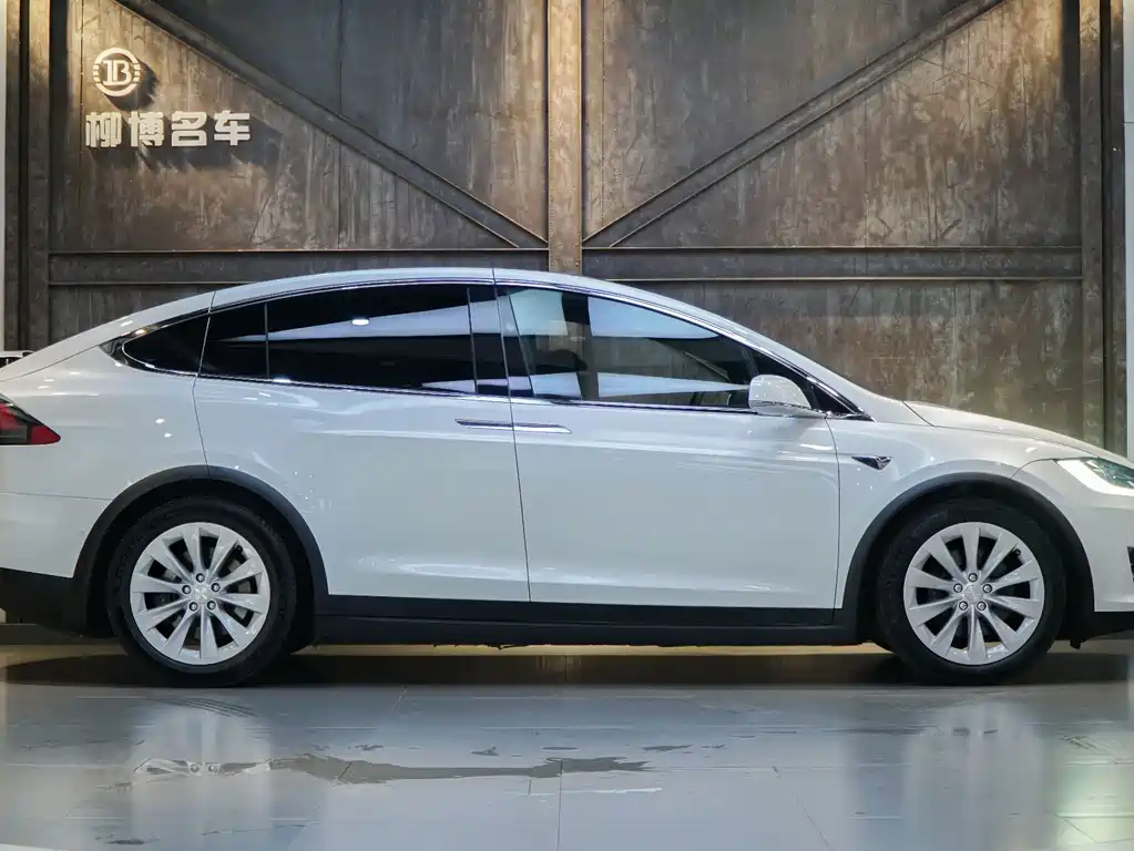 Tesla Model X — фотографии объявления, Фото 18