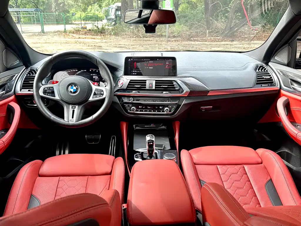 BMW X4 M X4 M Thunder Edition, фото 13