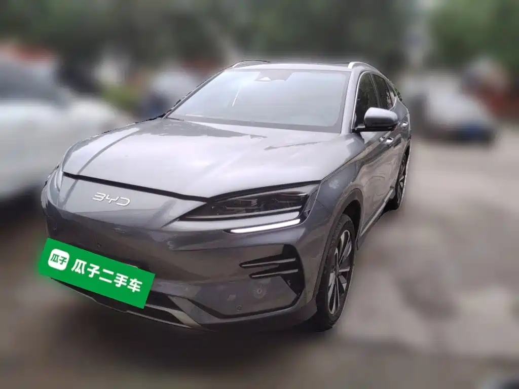 BYD PLUS New Energy — миниатюра 2