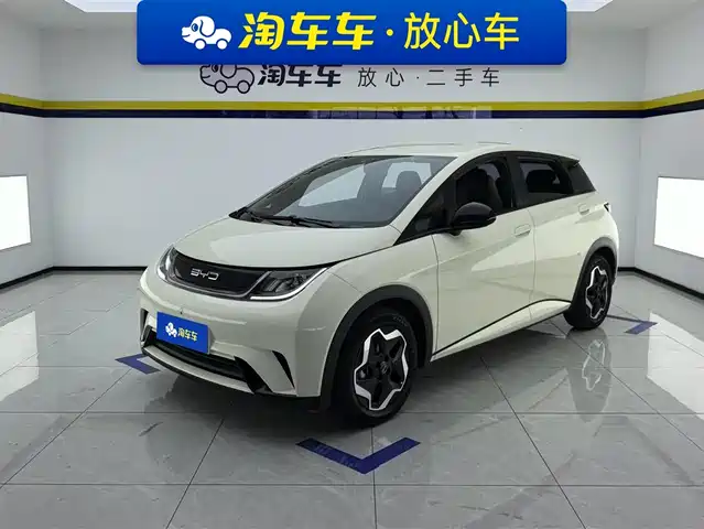 2023 BYD Dolphin