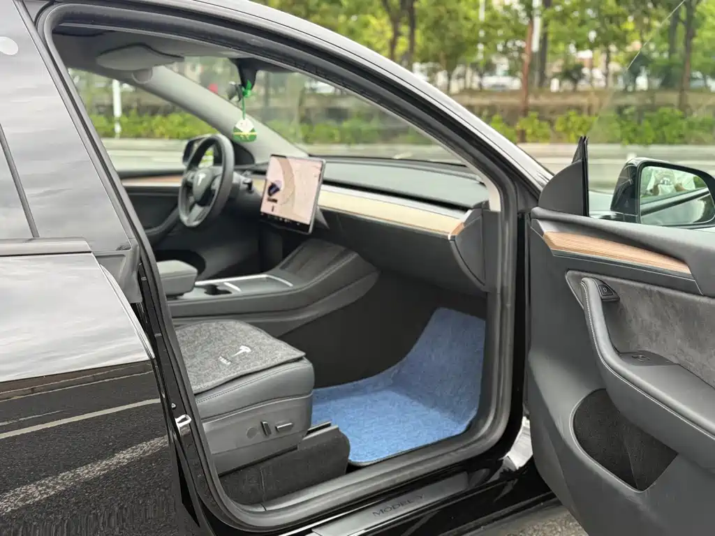 Tesla Model Y — миниатюра 6
