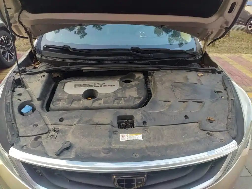 Geely Emgrand GS — миниатюра 11