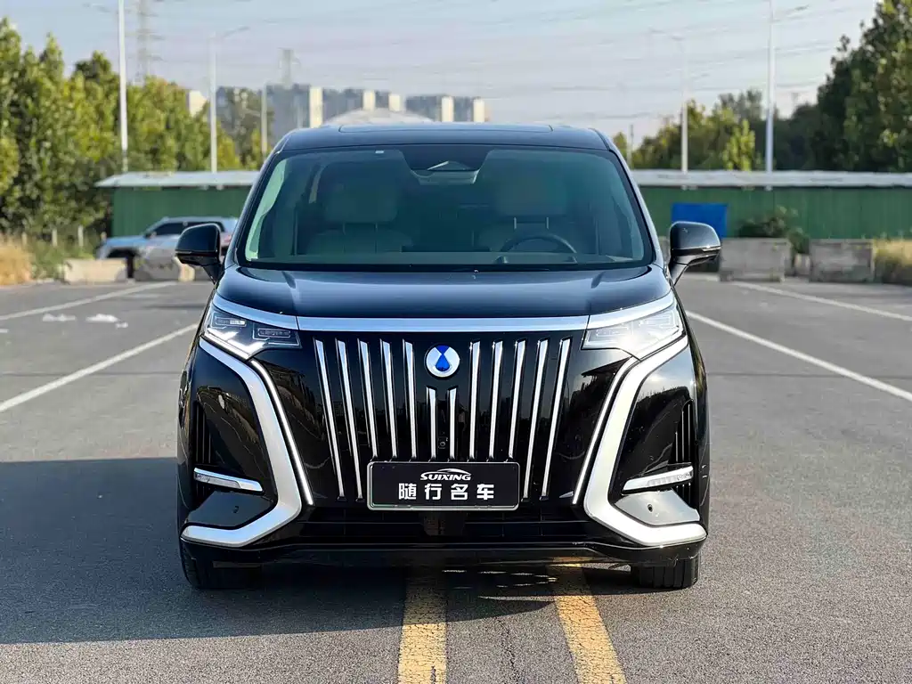 Denza Denza D9 — миниатюра 2