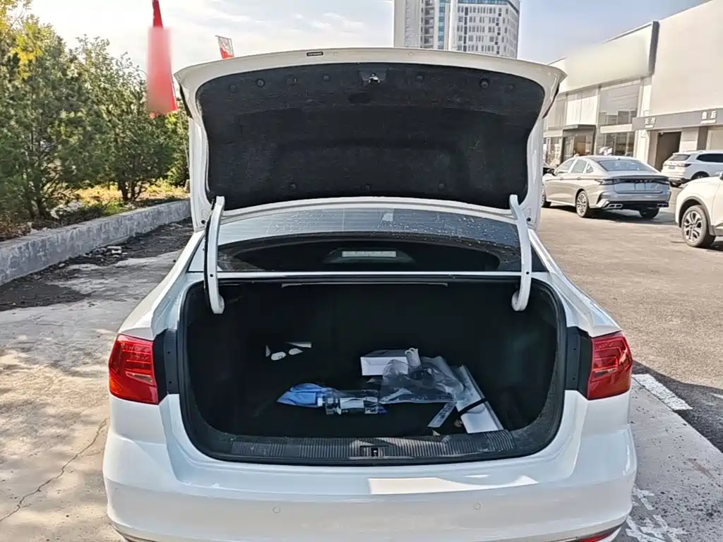 Volkswagen Bora — миниатюра 19