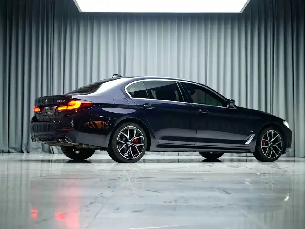 BMW 5 Series — миниатюра 7