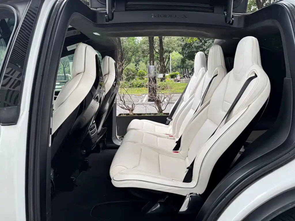 Tesla Model X — миниатюра 8