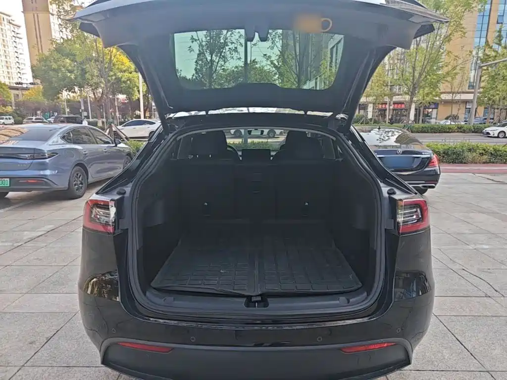 Tesla Model Y — миниатюра 19