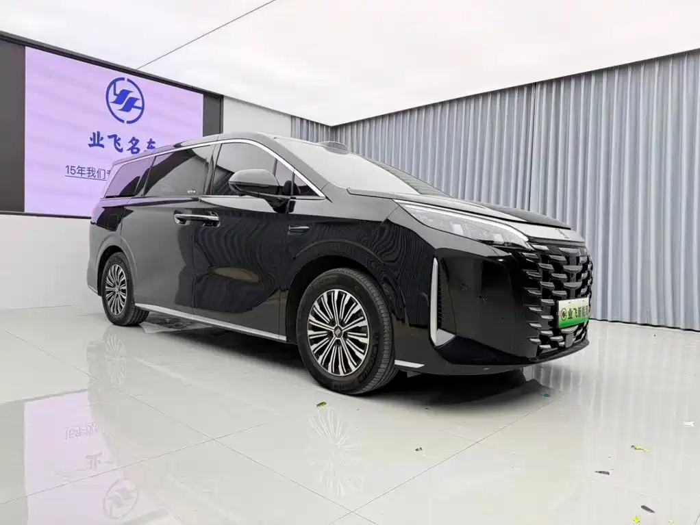 BYD Xia — миниатюра 3
