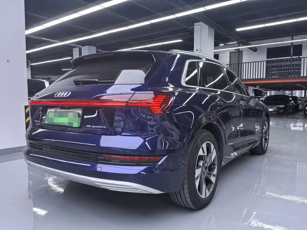 Audi e-tron (Import) — миниатюра 20