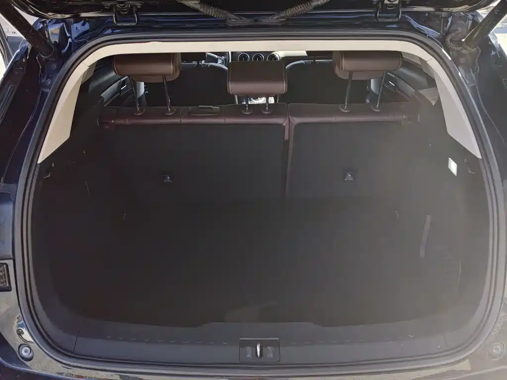 WEI PAI WEI BRAND VV6