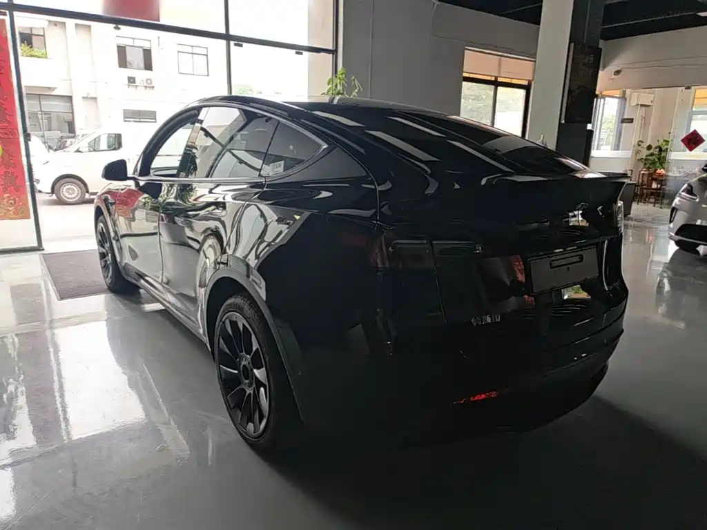 Tesla Model Y — миниатюра 5