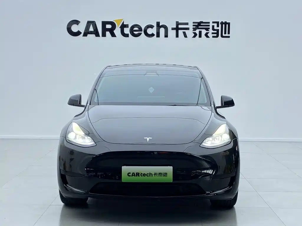 Tesla Model Y — миниатюра 2