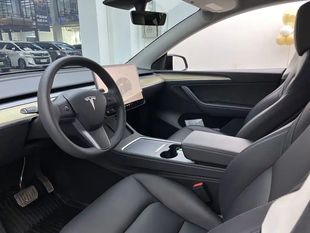 Tesla Model Y — миниатюра 23
