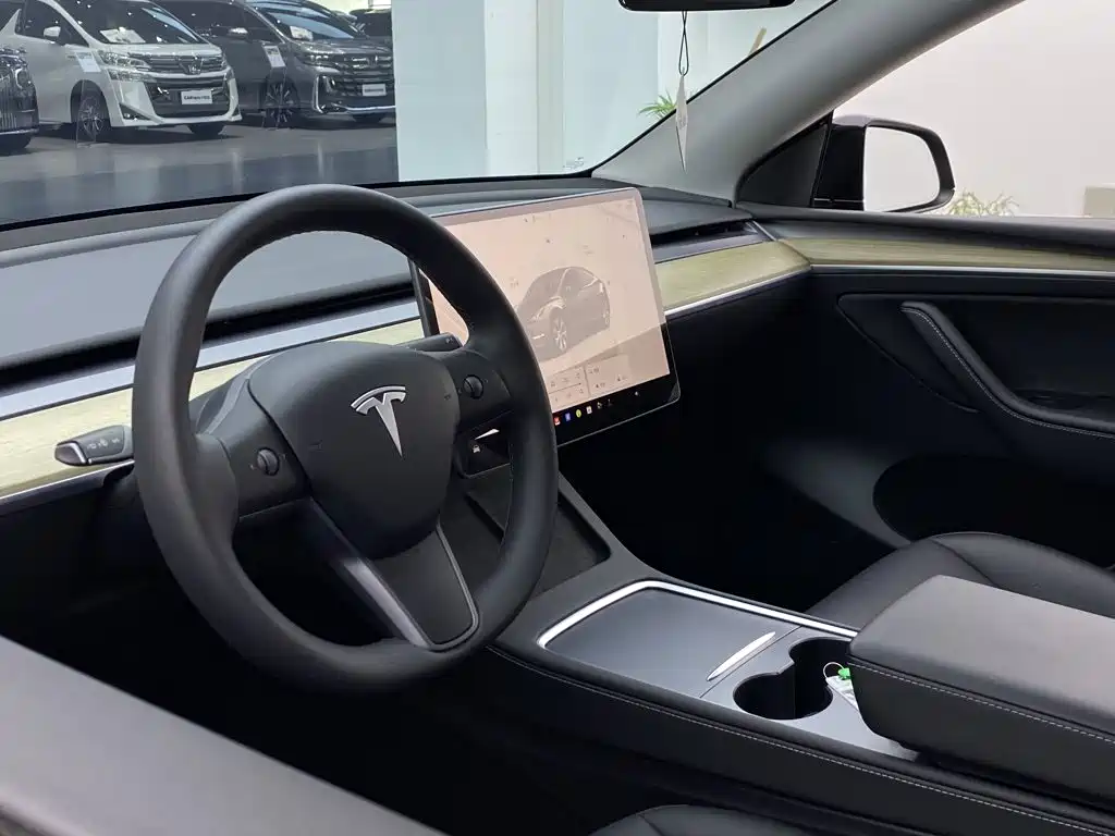 Tesla Model Y — миниатюра 28
