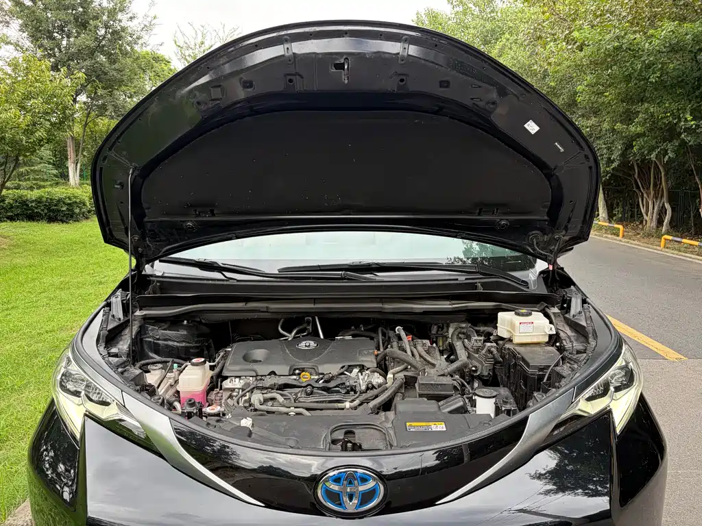 Toyota Sienna — миниатюра 10