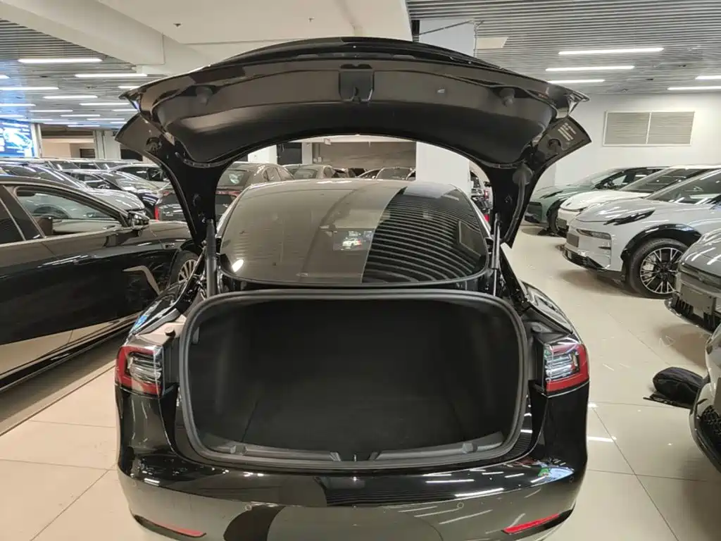 Tesla Model 3 — миниатюра 19