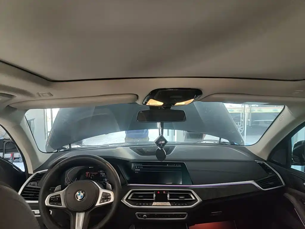 BMW X5 New Energy (Import) — миниатюра 18
