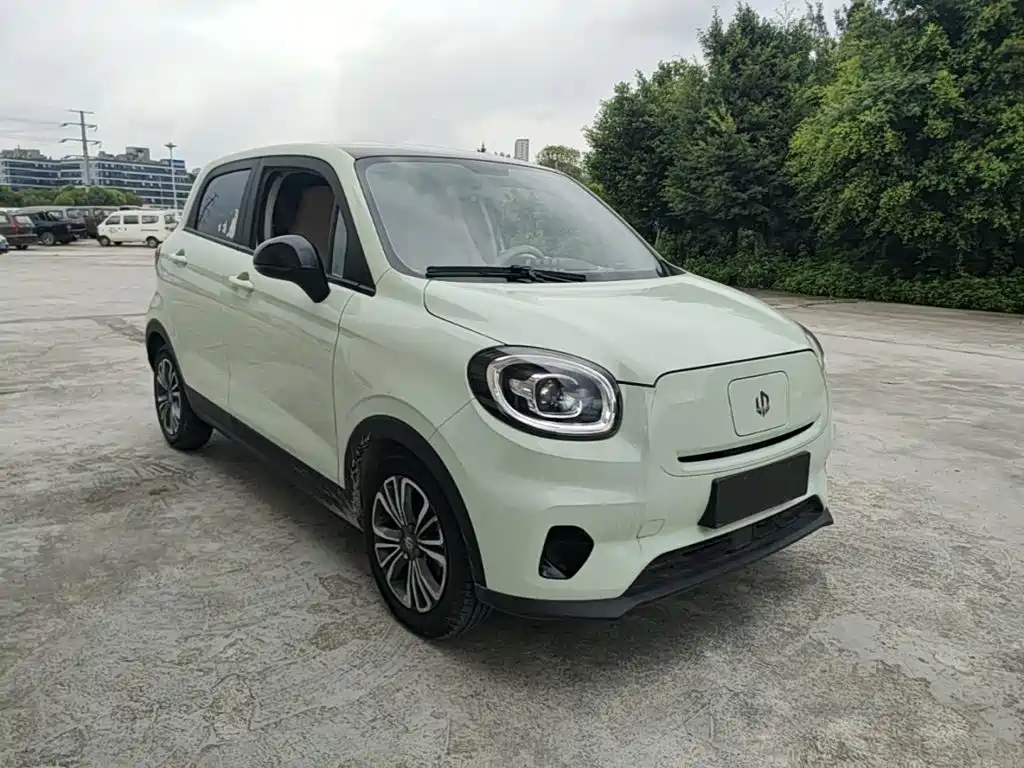 Leapmotor T03 2024 403