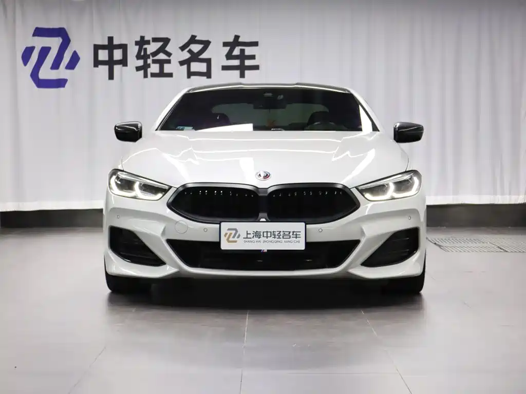 BMW 8 Series — миниатюра 2