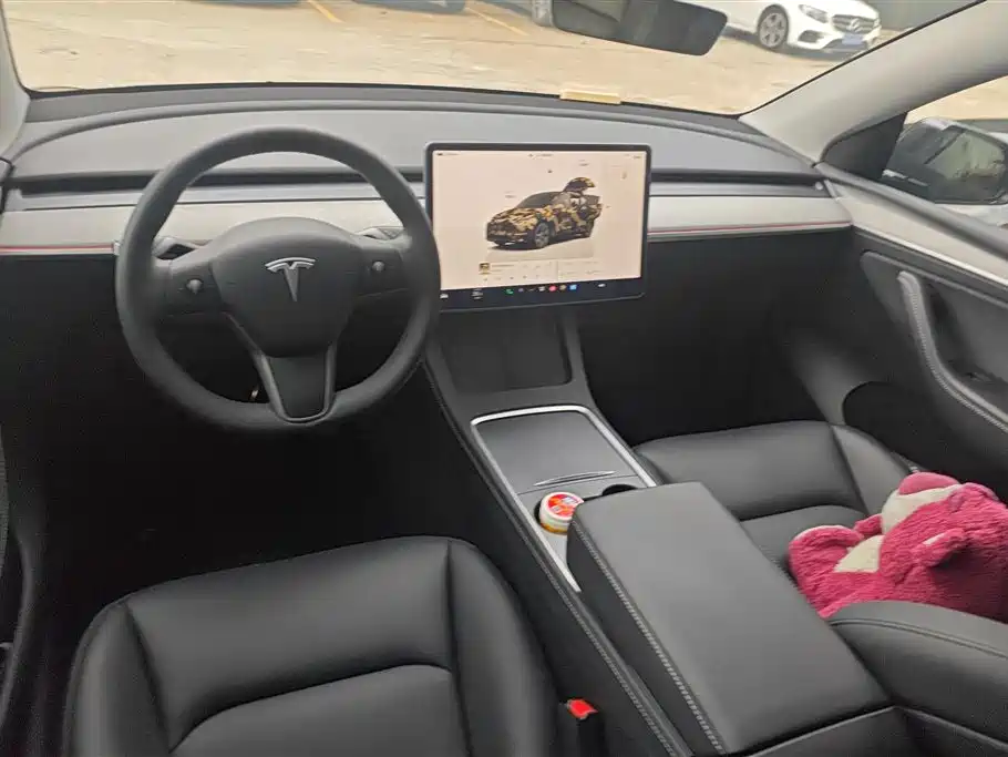 Tesla Model Y — фотографии объявления, Фото 12