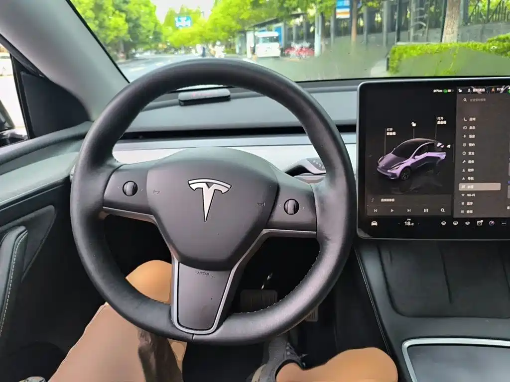 Tesla Model Y — миниатюра 3