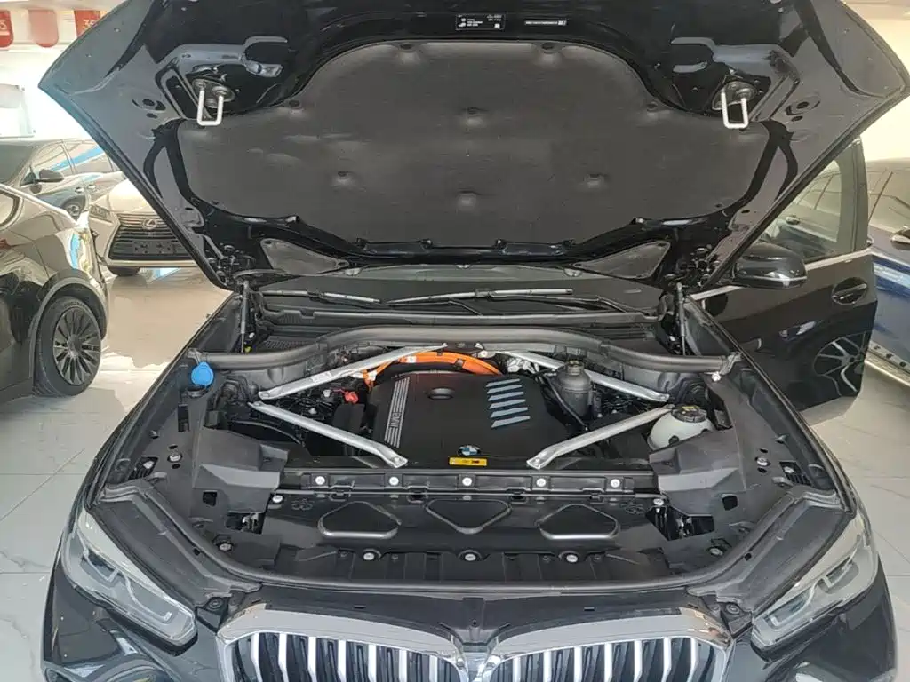 BMW X5 New Energy (Import) — миниатюра 20