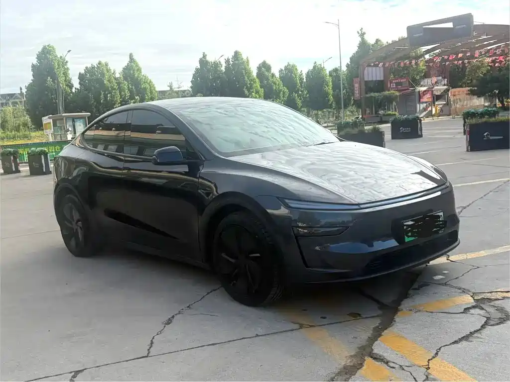 Tesla Model Y — миниатюра 3
