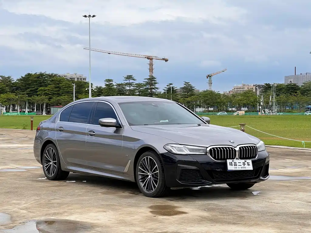 BMW 5 Series — миниатюра 3