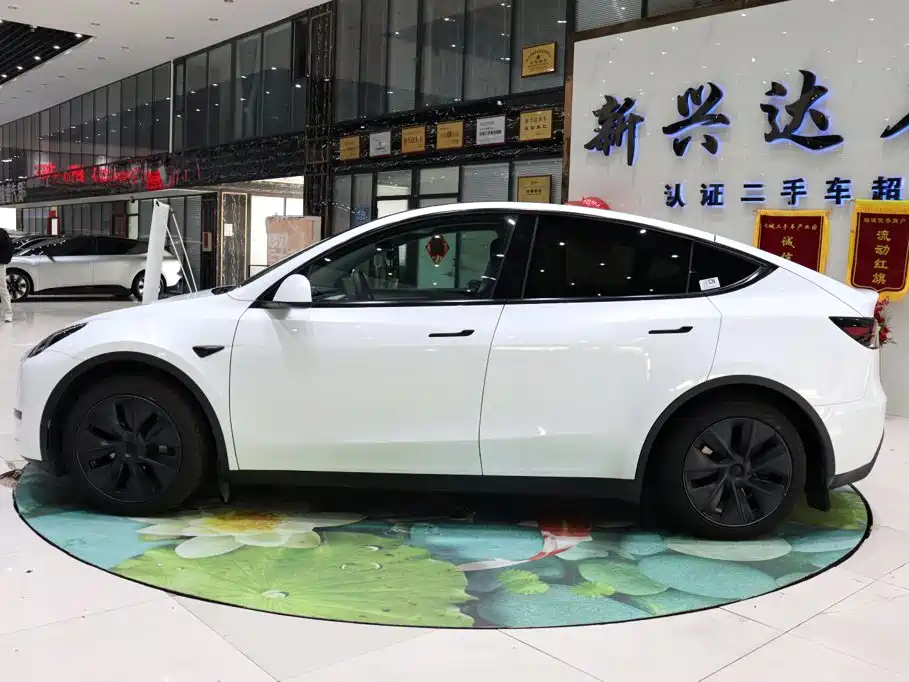 Tesla Model Y — миниатюра 3