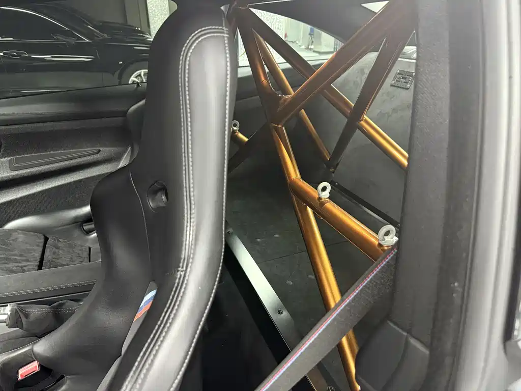 BMW M4 M4 GTS, фото 6