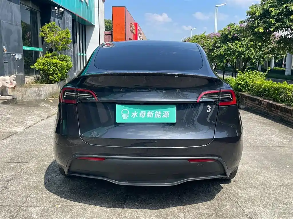Tesla Model Y — миниатюра 7