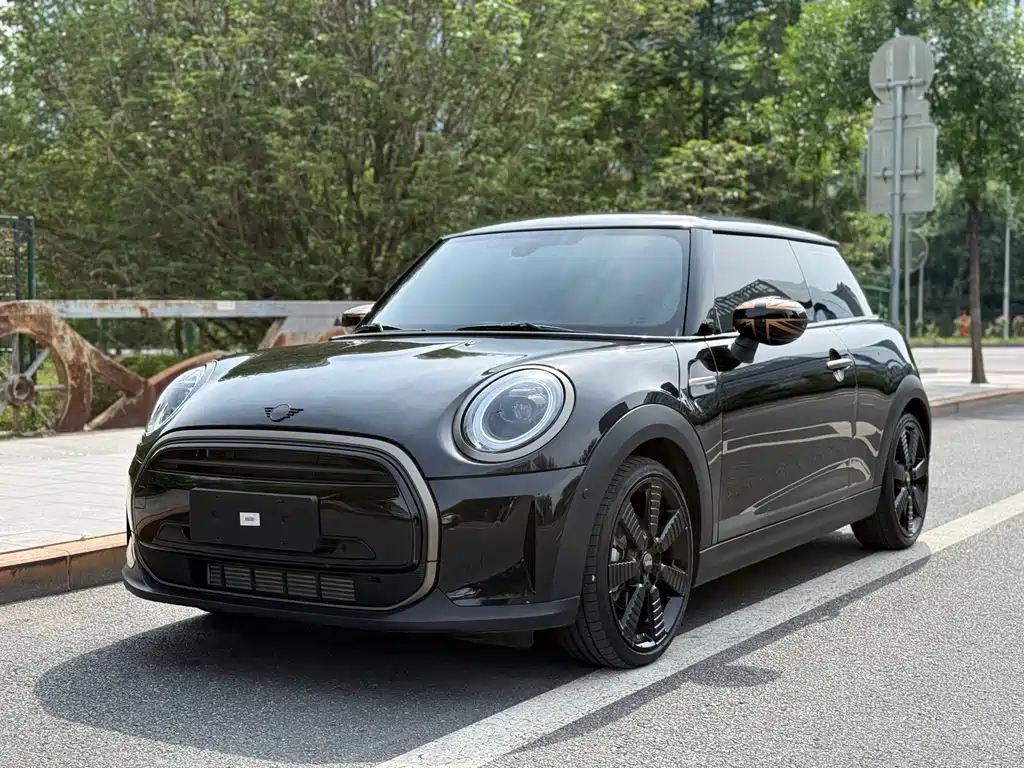 Mini Mini 2024