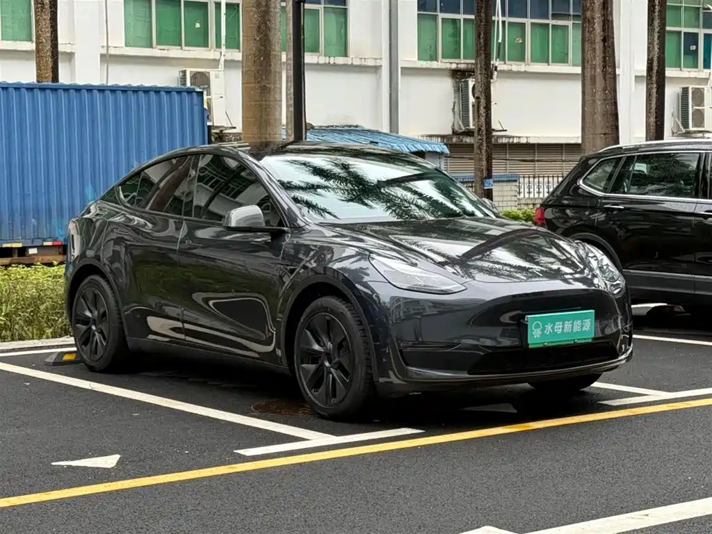 Tesla Model Y — миниатюра 12