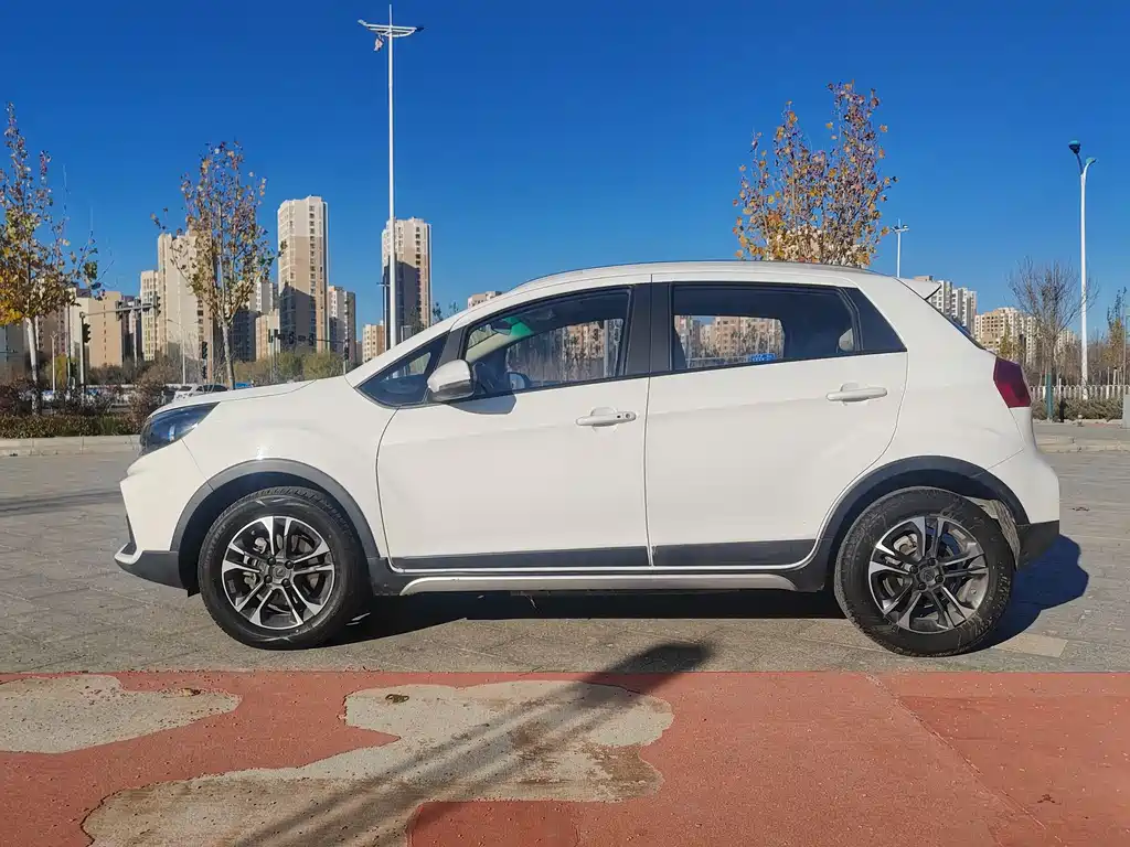 RUILAN AUTOMOBILE MAPLE LEAF 30X