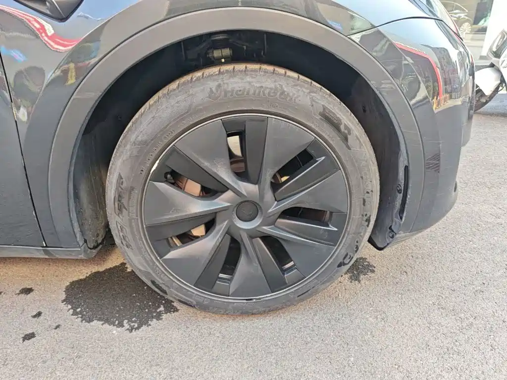 Tesla Model Y — миниатюра 8