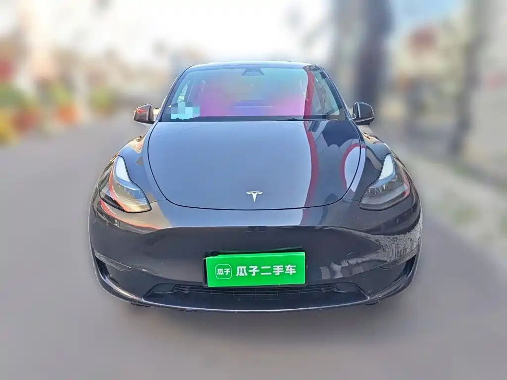 Tesla Model Y — миниатюра 2