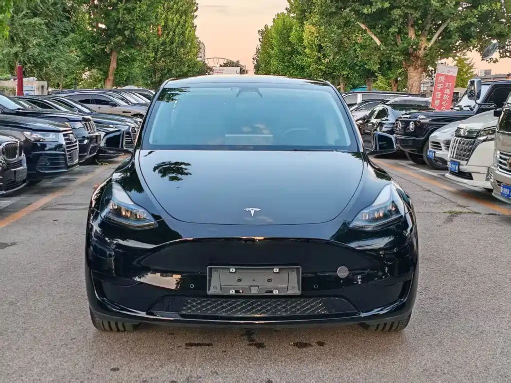 Tesla Model Y — миниатюра 2