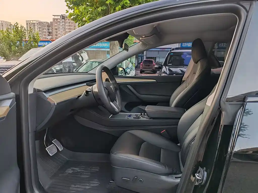 Tesla Model Y — миниатюра 7